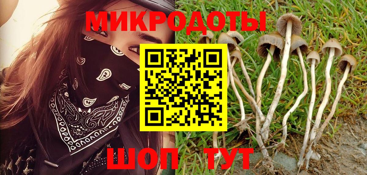 Карабулак  Псилоцибиновые грибы мицелий  где продают наркотики  Псилоцибиновые грибы Cubensis  Вход с VPN 