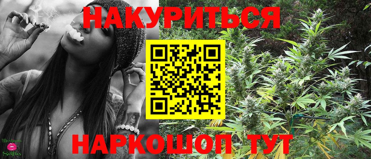 Бошки марихуана THC 21%  Карабулак  Марихуана сатива  Конопля сатива 
